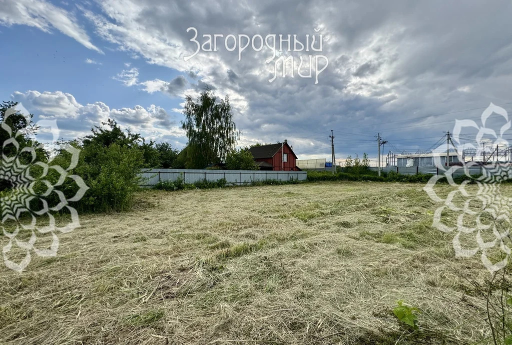 Продам участок, Новорязанское шоссе, 24 км от МКАД - Фото 4