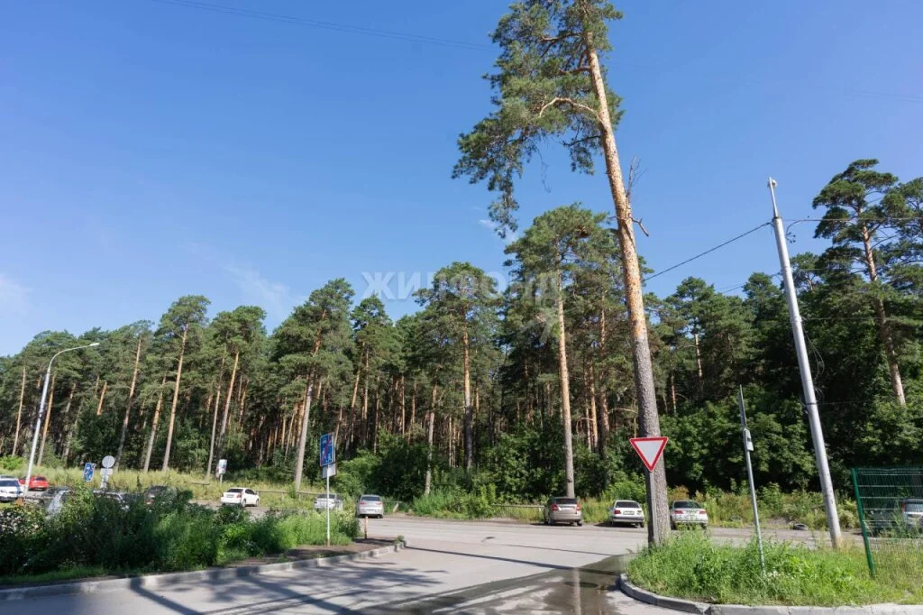 Продажа квартиры, Новосибирск, ул. Сухарная - Фото 39