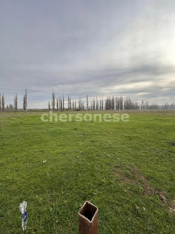 Продажа участка, Севастополь, территория совхоз-завод имени П. ... - Фото 4