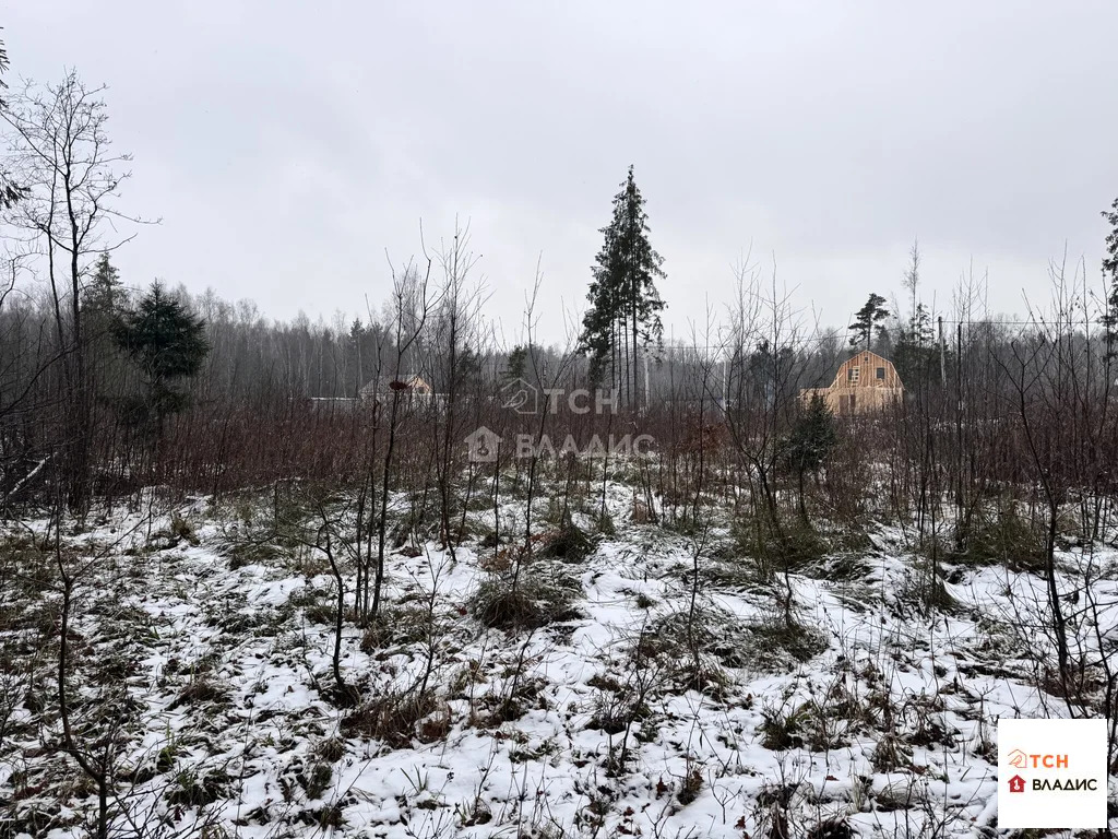 Продажа участка, Могильцы, Лотошинский район - Фото 1