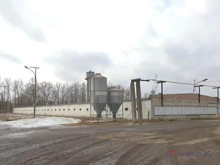 Продажа производственного помещения, Телези, Ломоносовский район - Фото 5