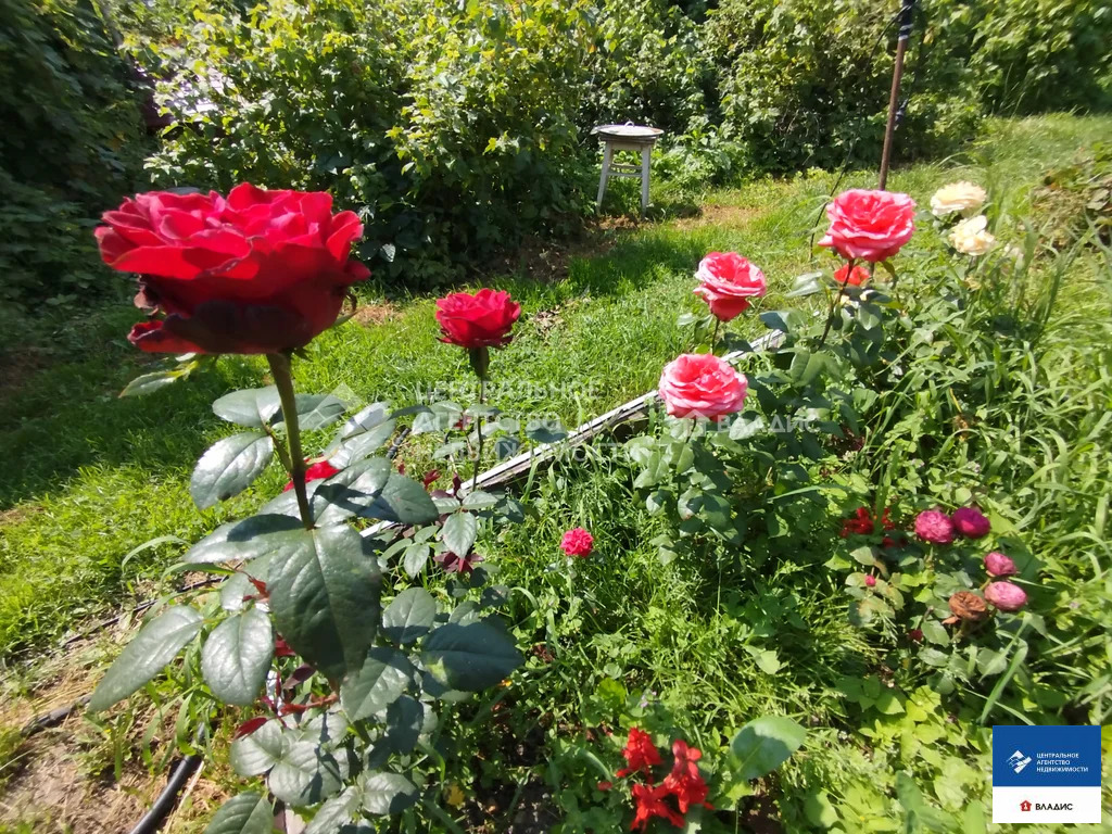 Продажа дома, Царицыно, Касимовский район - Фото 22