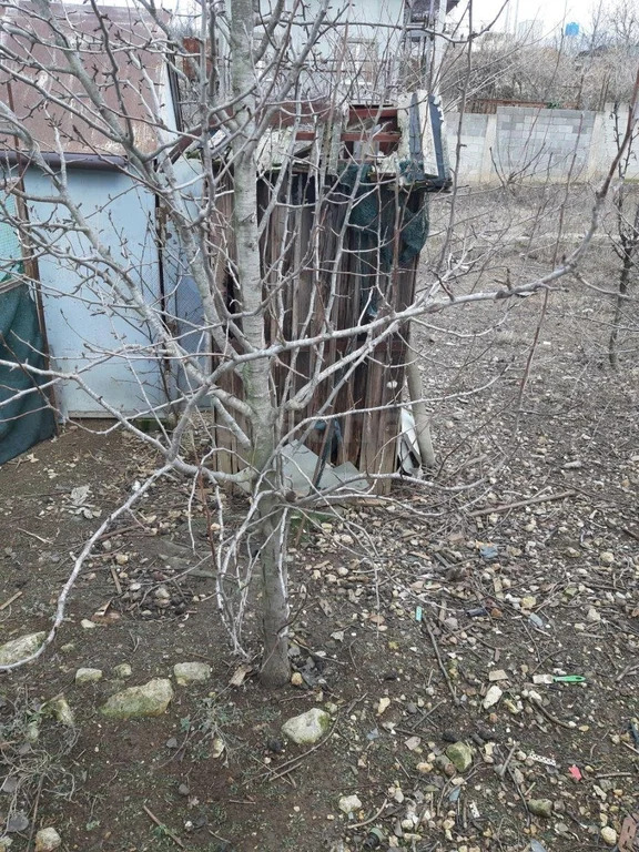 Продажа участка, Севастополь, территория СТ Техника - Фото 4