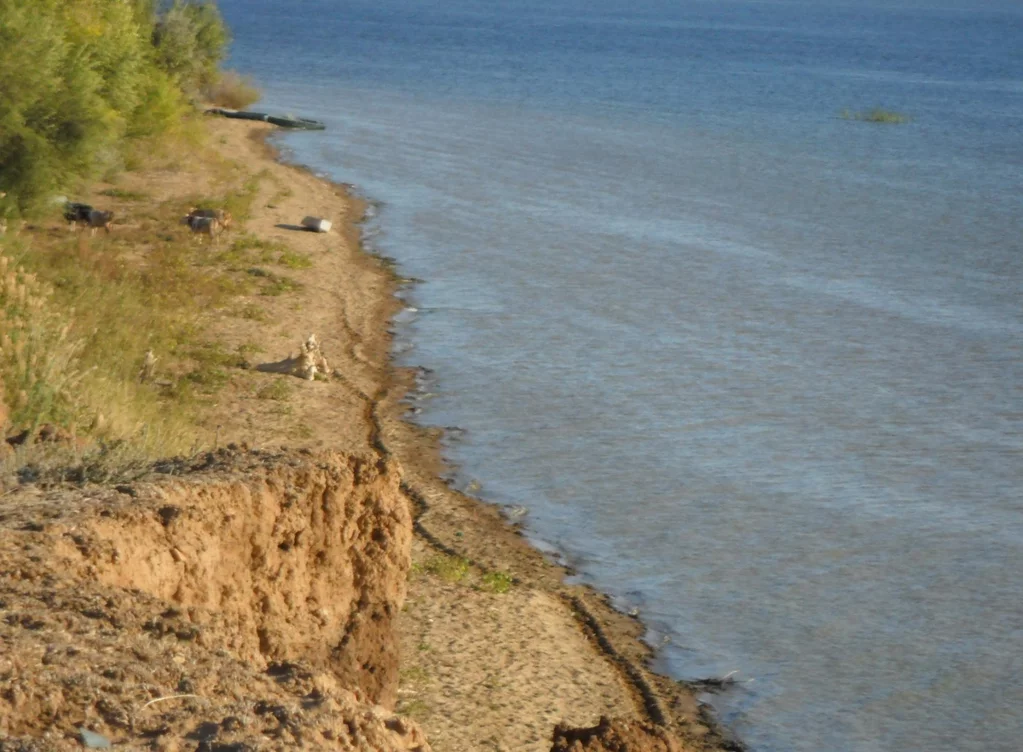 Погода в приволжское саратовская область ровенский. Приволжское Ровенский район. Ровенский район Саратовская область. Село Приволжское Саратовской области. Село Кочетное Ровенского района Саратовской области.