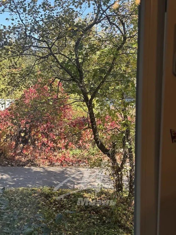 Продажа квартиры, Щелково, Щелковский район, ул. Беляева - Фото 5