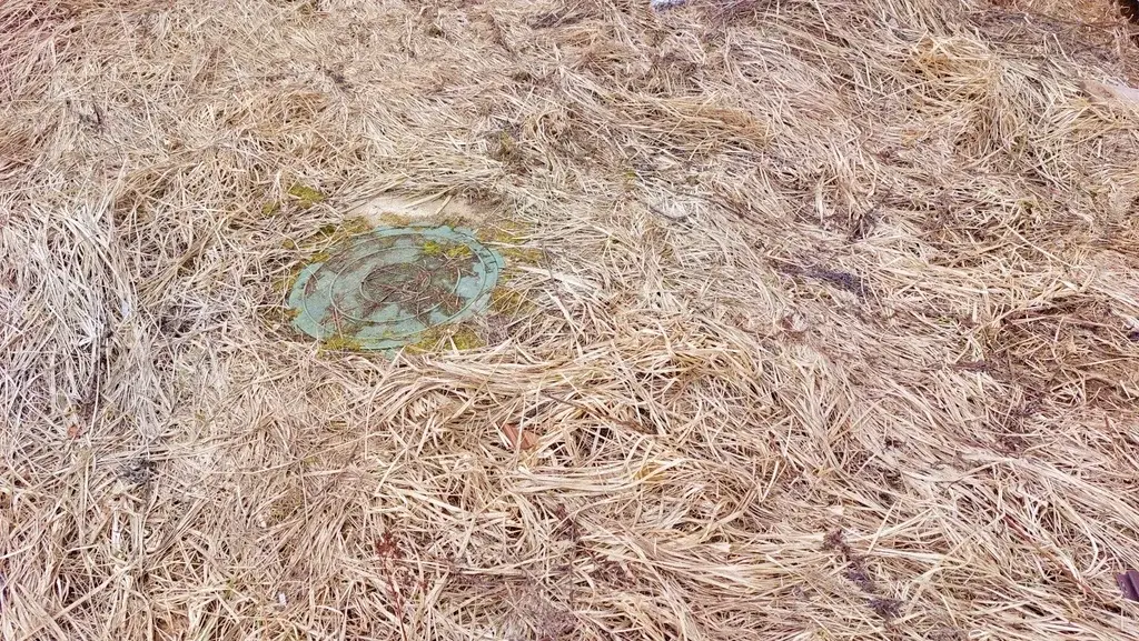 Земельный участок у леса КП Тироль - Фото 10