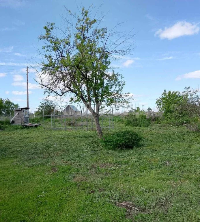 Продажа дома, Верх-Ирмень, Ордынский район, ул. Комсомольская - Фото 47