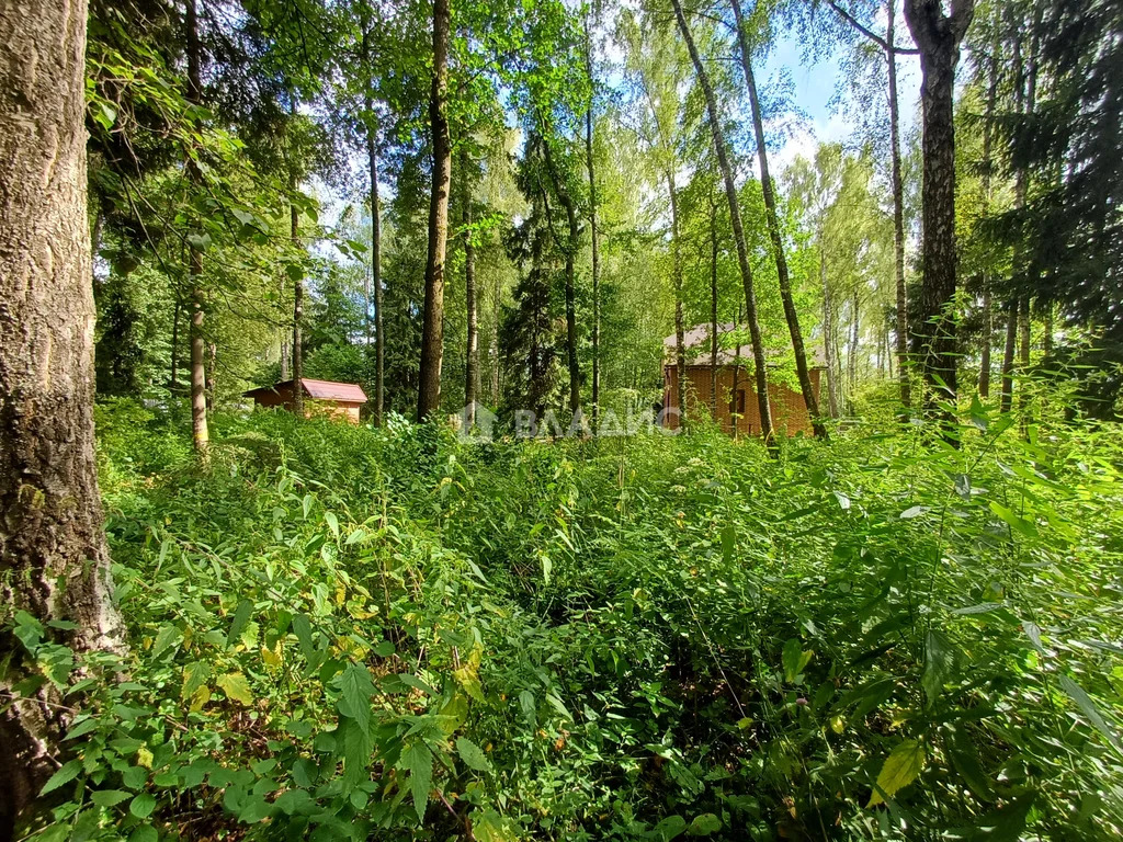 Троицкий административный округ, СНТ Лира, квартал № 410, квартал № ... - Фото 7