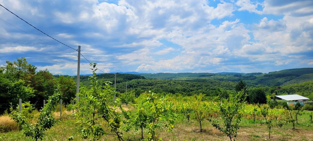 Продажа участка, Ильский, Северский район - Фото 5