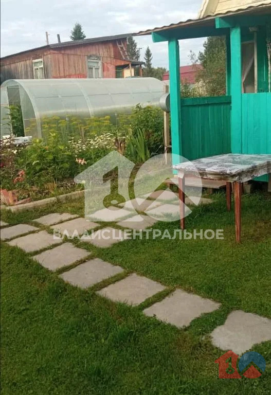 Новосибирский район, садовое товарищество Голубые Озёра, 6-я аллея,  ... - Фото 9