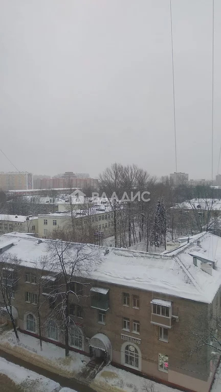 городской округ Балашиха, Балашиха, Новая улица, д.9, 2-комнатная . - Фото 31