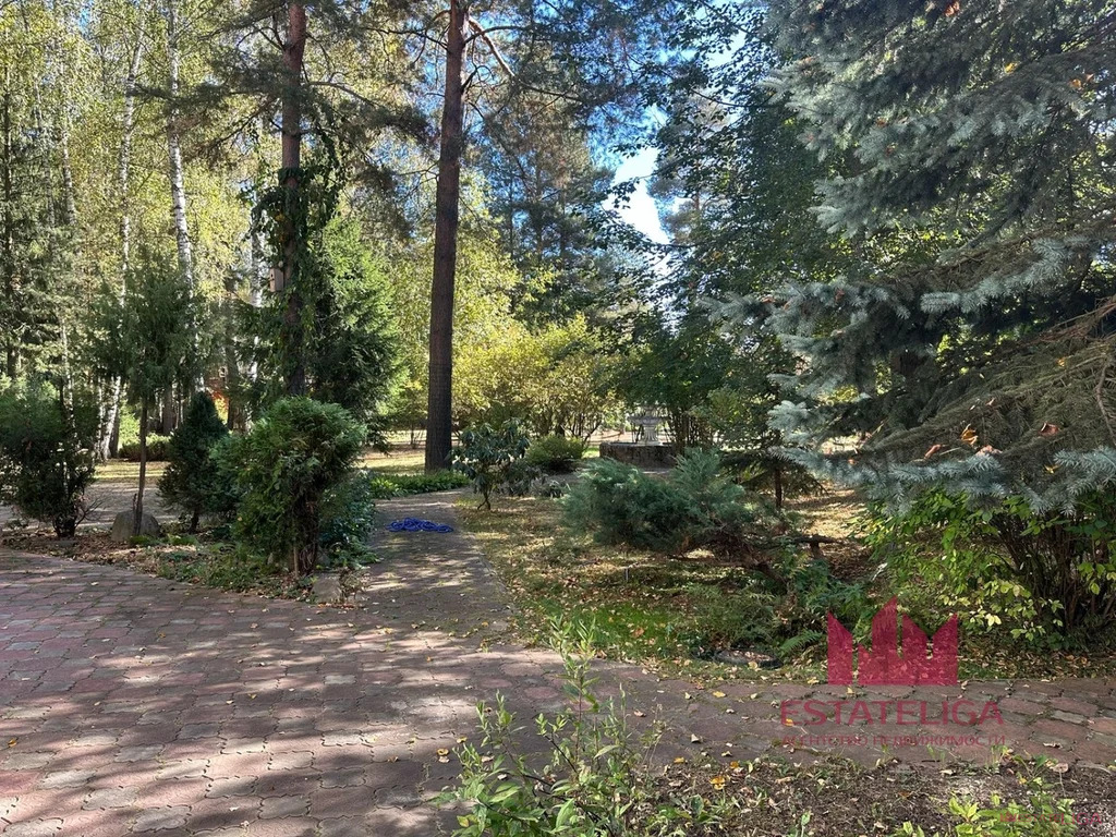 Продажа дома, Левково, Дмитровский район, Сосновая улица - Фото 28