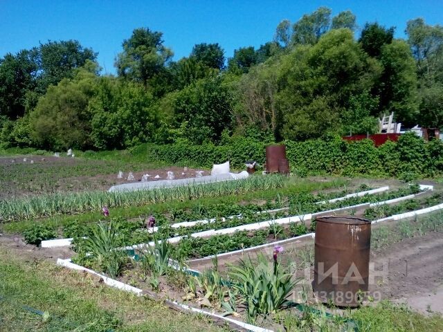 Участки В Ямном Воронеж Купить