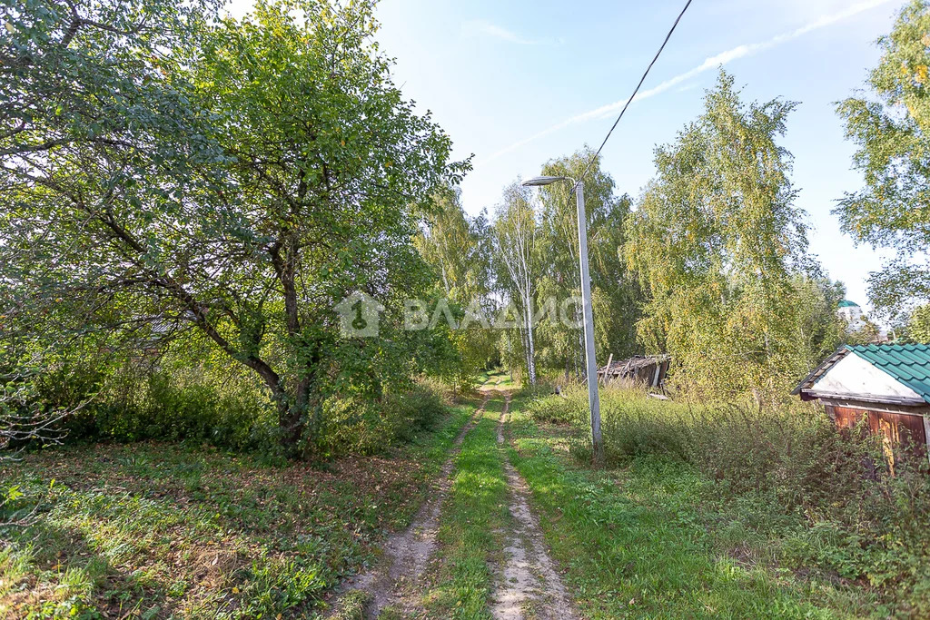 Суздальский район, село Оликово, Секалиха улица,  земля на продажу - Фото 6