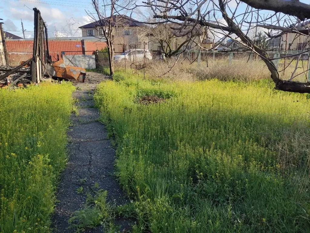 Продам земельный участок - Фото 3