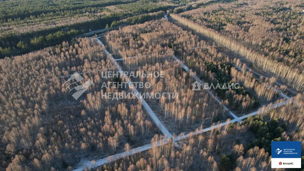 Продажа участка, Ярустово, Спасский район, ул. Лесная - Фото 19