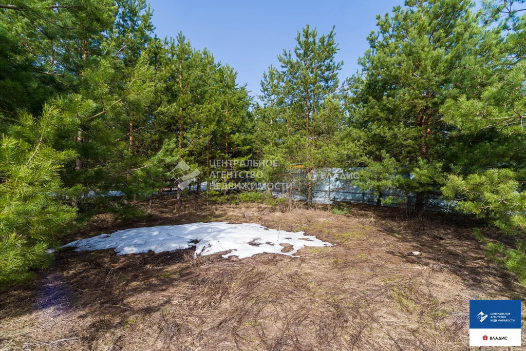 Продажа участка, Рязанский район, Ясная улица - Фото 8