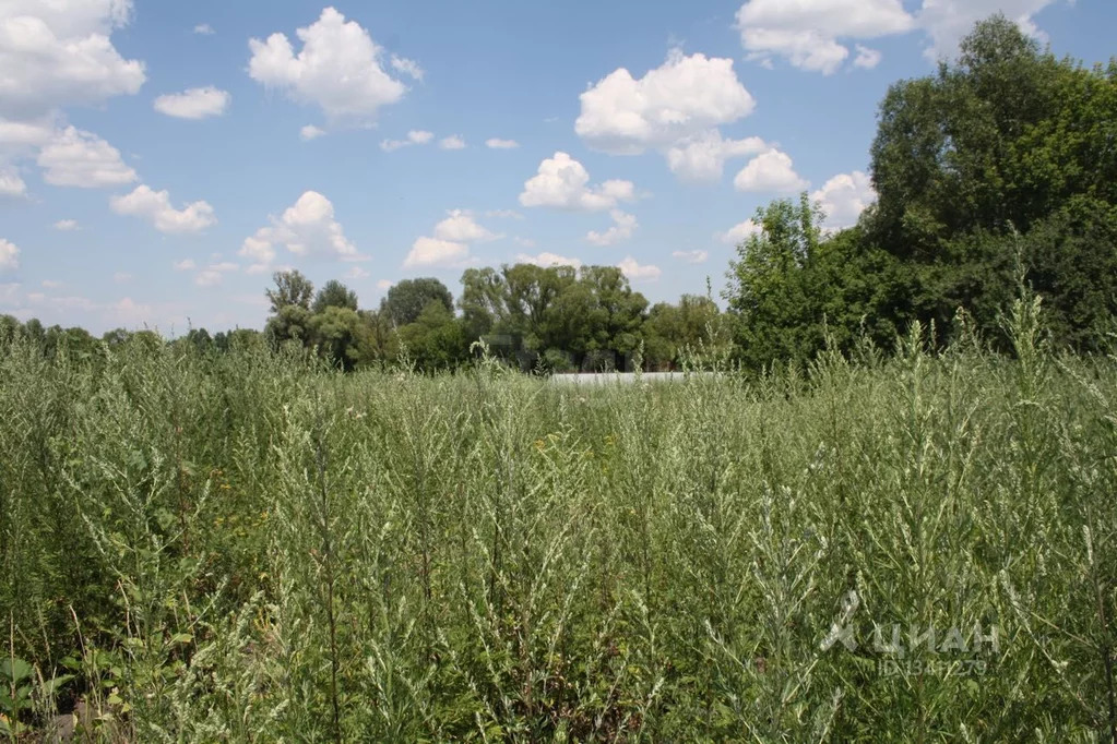 Купить Участок Ижс В Белгороде Недорого
