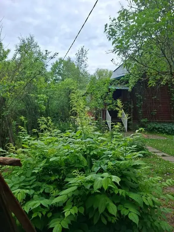 Продается дом в СНТ Ополье, Рузский район Московсмкая обл. - Фото 5