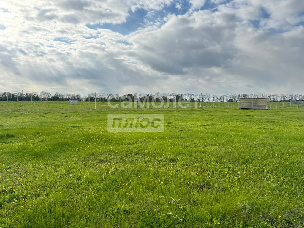 Продажа участка, Крюково (Торховский с/о), Ленинский район, Крюково ... - Фото 2