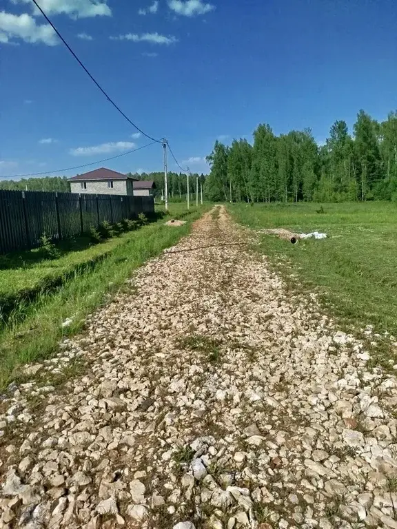 Земельный участок у леса - Фото 8