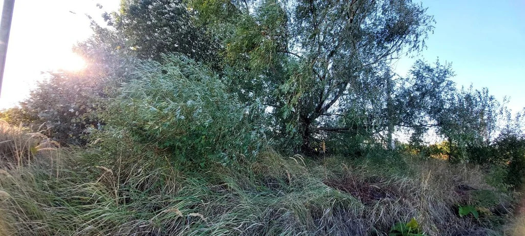 Продажа участка, Оазис, Северский район, переулок Карасунский - Фото 2