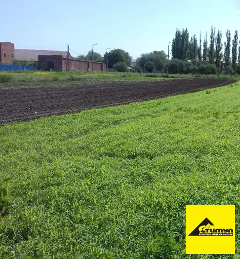 Продажа дома, Комсомолец, Ейский район, ул. Комсомольская - Фото 5