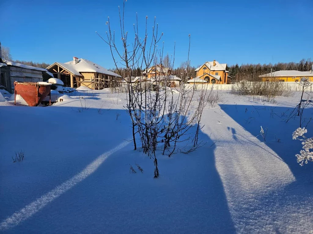 Продажа участка, Холмы, Истринский район, Ул. Березовая - Фото 6