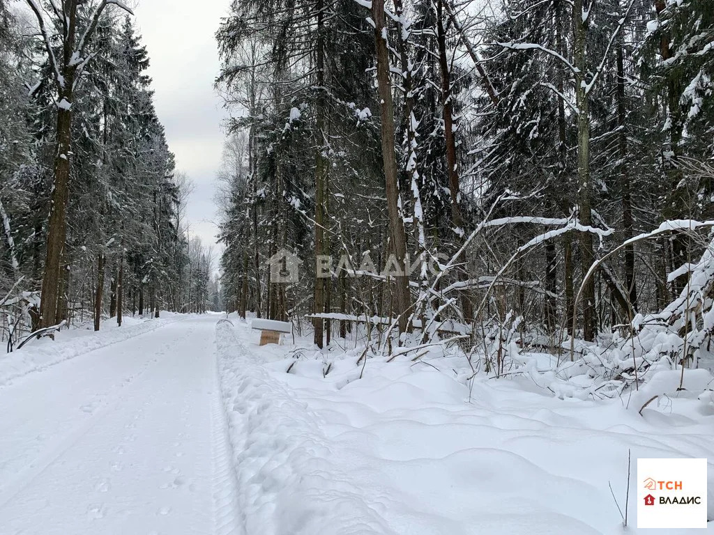 Продажа участка, Сазонки, Дмитровский район - Фото 4