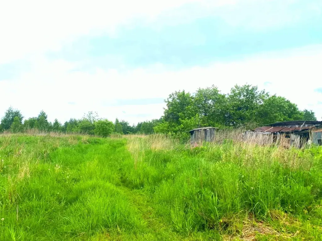 Участок в деревне Якушевичи - Фото 3