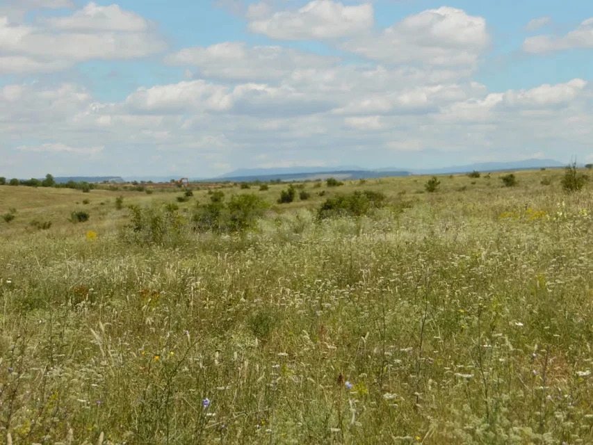 Продажа участка, Казанки, Бахчисарайский район, ул. Озерная - Фото 0