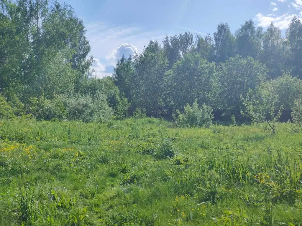 Продам 15 соток в Митяево МО - Фото 2