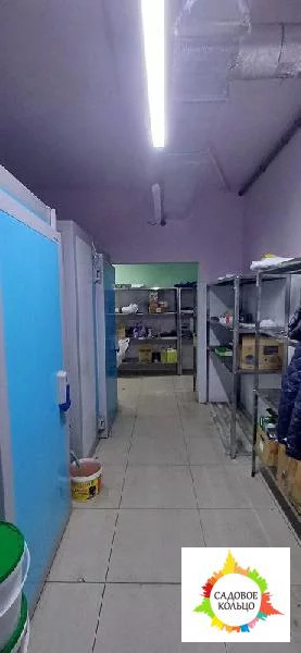 Подвальное помещение 170 м2 в небольшом торговом центре - Фото 12
