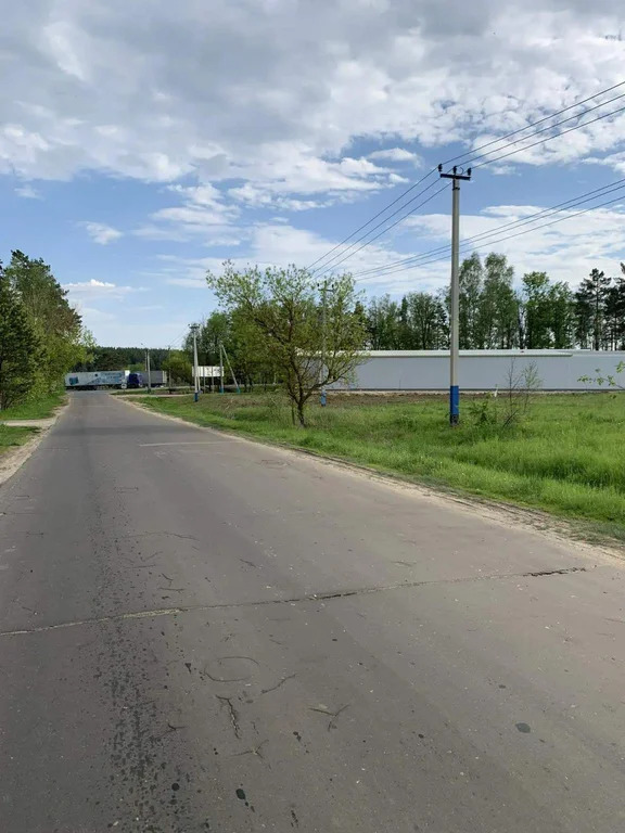 Продается земельный участок 120 сот. - Фото 6