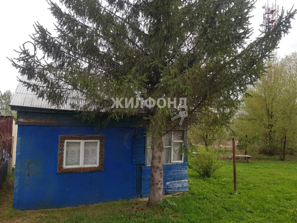 Купить Дачу В Криводановке Новосибирской Области Недорого