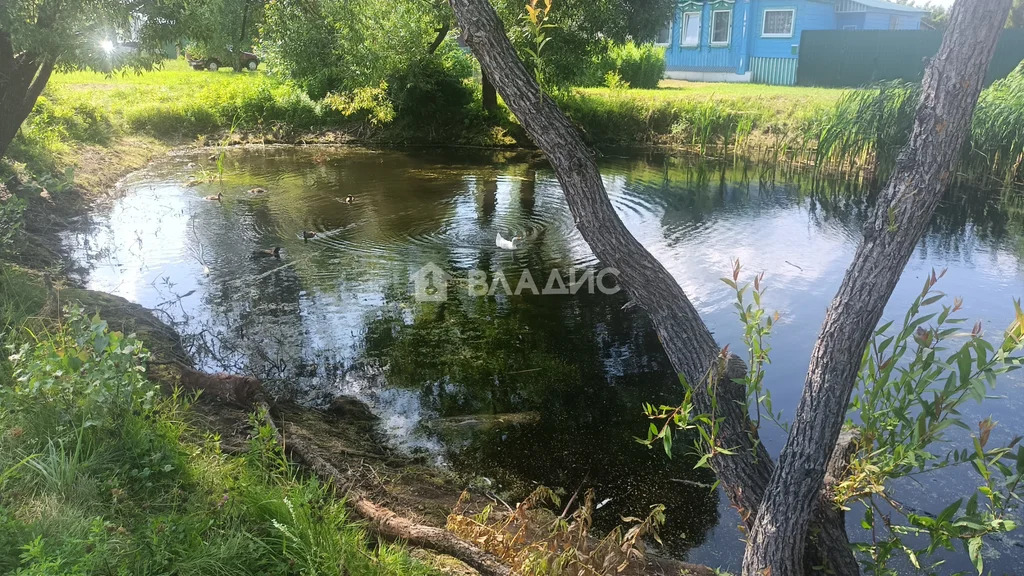 Судогодский район, село Картмазово,  земля на продажу - Фото 29