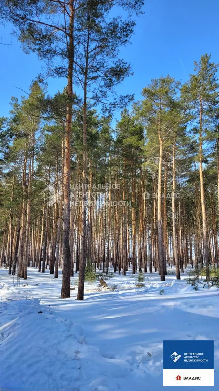 Продажа участка, Рязанский район - Фото 2