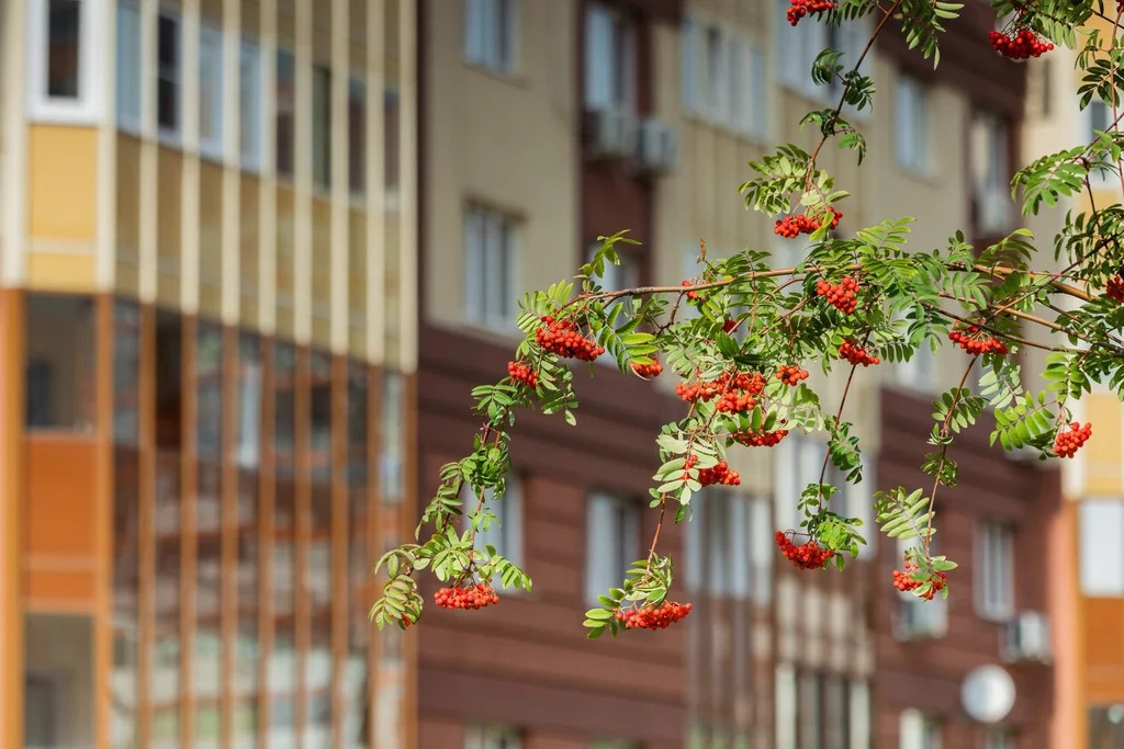 Аренда ПСН площадью 54.9 м2 - Фото 6