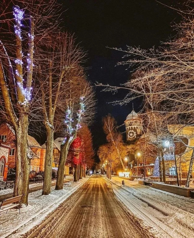 Продажа таунхауса, Светлогорск, Светлогорский район, Радужная ул - Фото 14