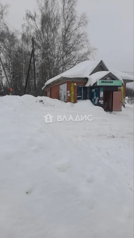 Торговое на продажу, Богородский муниципальный округ, деревня Шуклино, ... - Фото 3