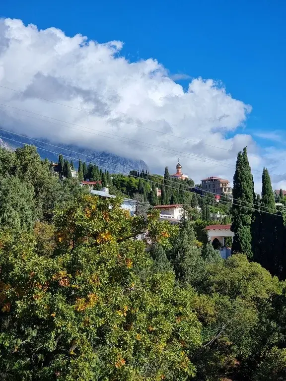 1-к. квартира, 30 м, 2/3 эт. - Фото 14