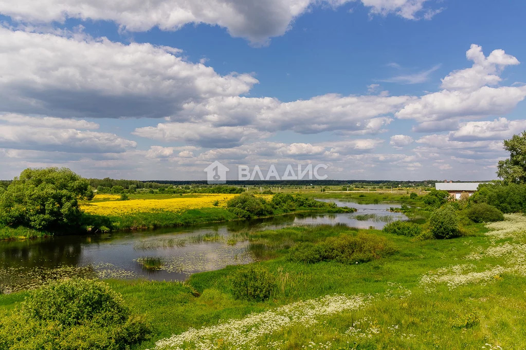 Суздальский район, село Заполицы, улица Батурина,  дом на продажу - Фото 21