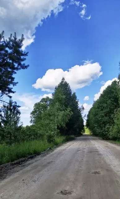 Участок в деревне Соколово - Фото 0