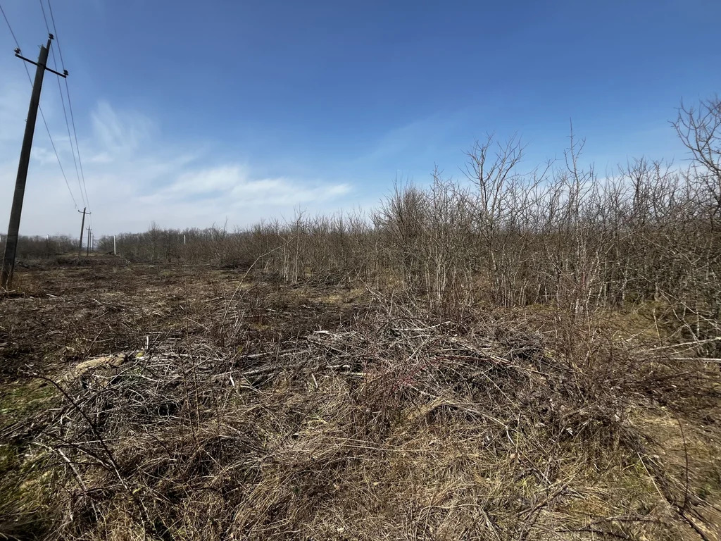 Продажа участка, Калужская, Северский район, улица Зеленая - Фото 2