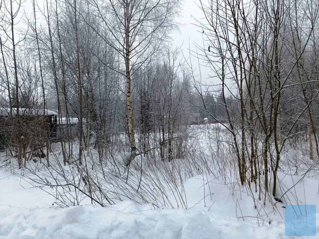 12 соток в д. Шапкино, СНТ Звездочка - Фото 1