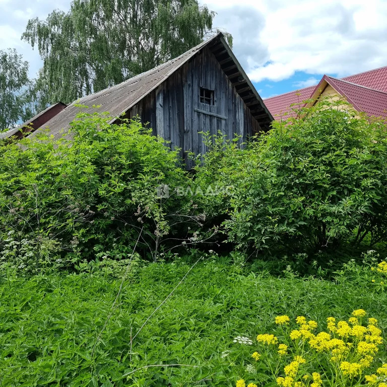 Юрьев-Польский район, село Матвейщево, Центральная улица, дом на . - Фото 24