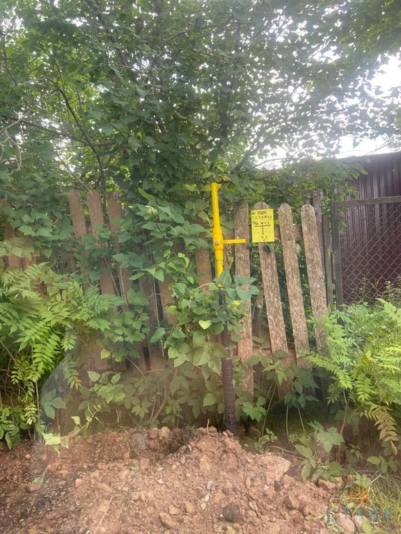 Продажа участка, Большие Озертицы, Волосовский район, деревня Большие ... - Фото 4