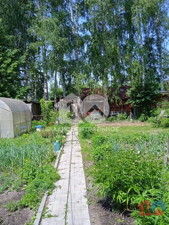 Новосибирский район, садоводческое некоммерческое товарищество ... - Фото 11