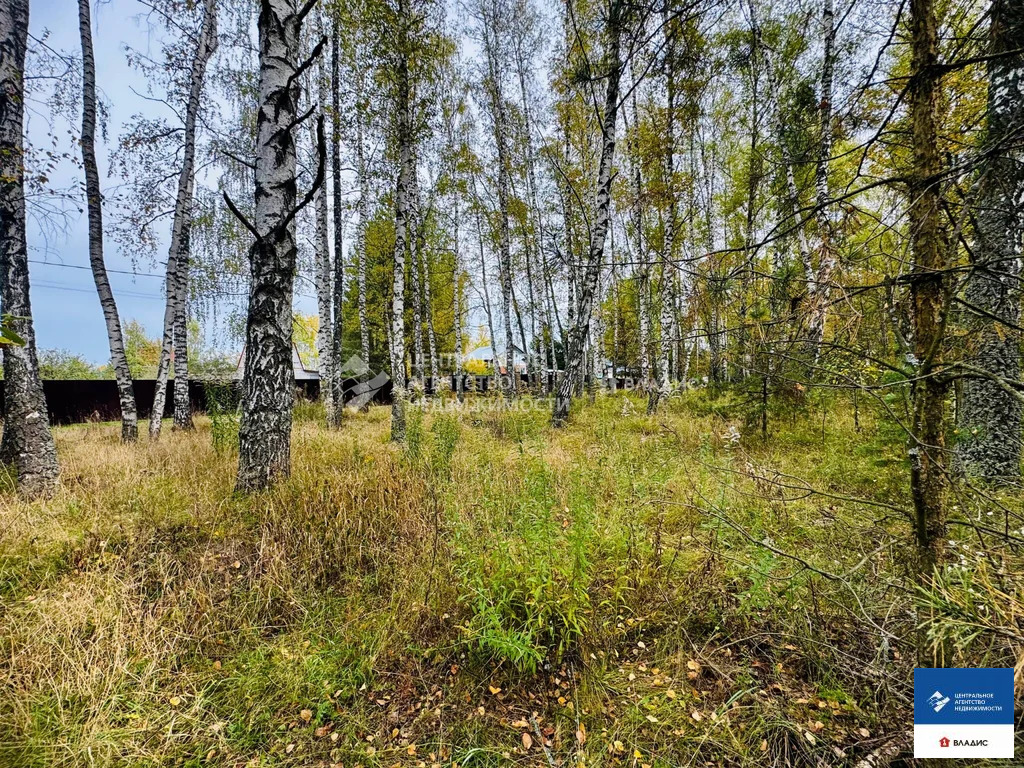 Продажа участка, Казарь, Рязанский район, ул. Лесная - Фото 2