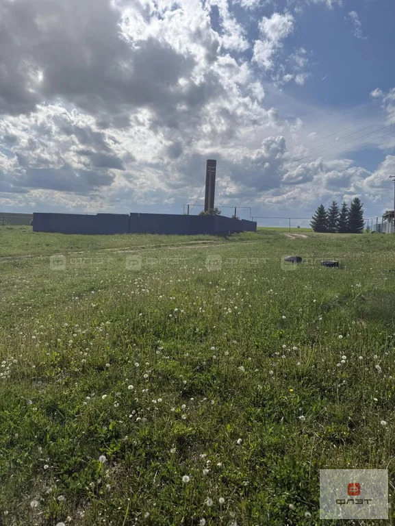 Продажа дома, Малый Рясь, Высокогорский район, ул. А.Алиша - Фото 3